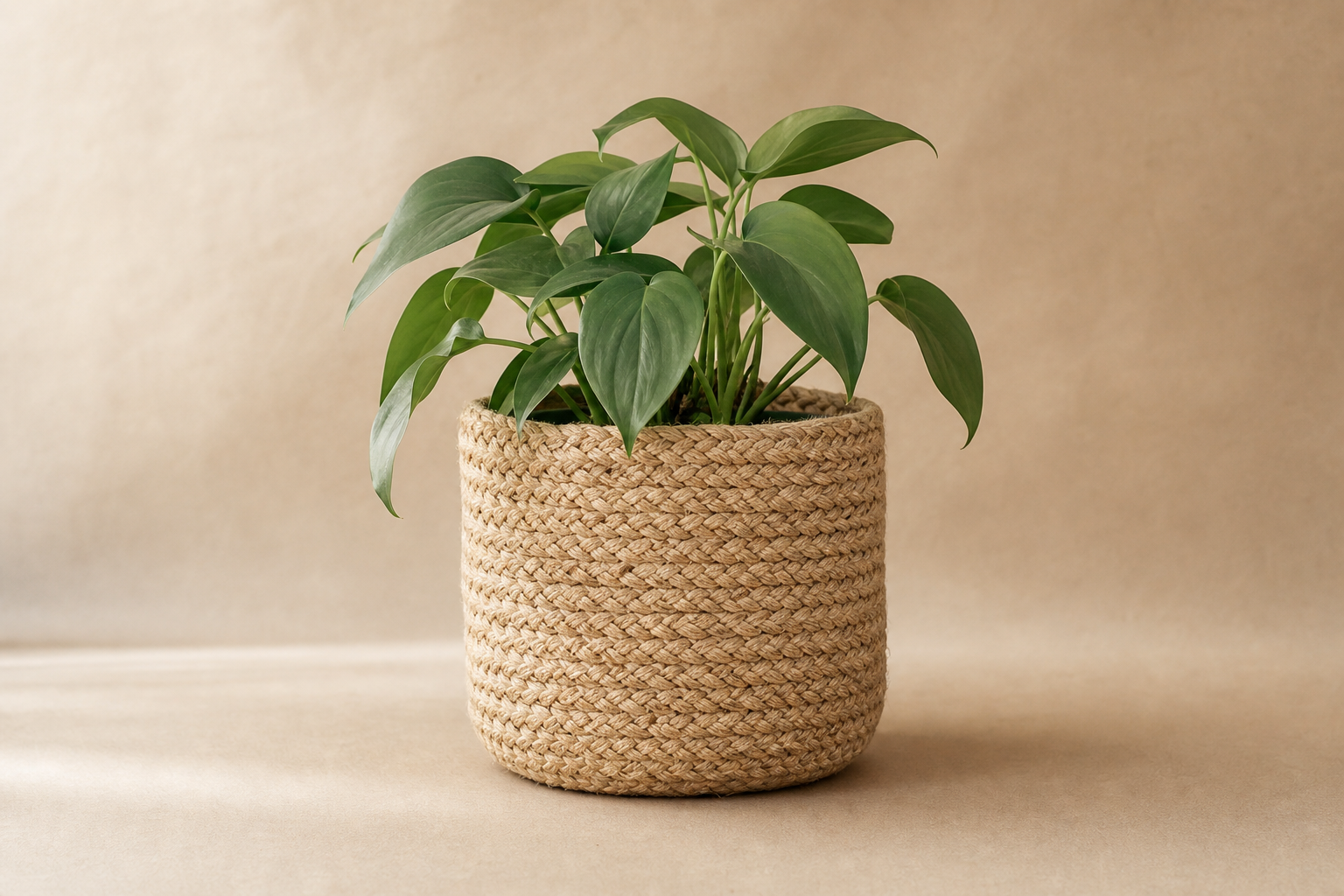 Cache-Pot Jute Tressée — Série 24